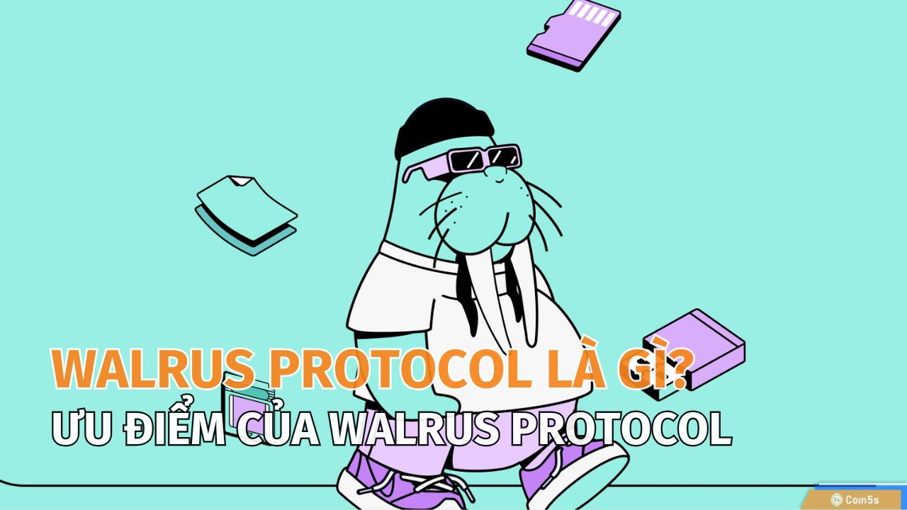 Walrus Protocol là gì? Khám phá giao thức đột phá trong crypto