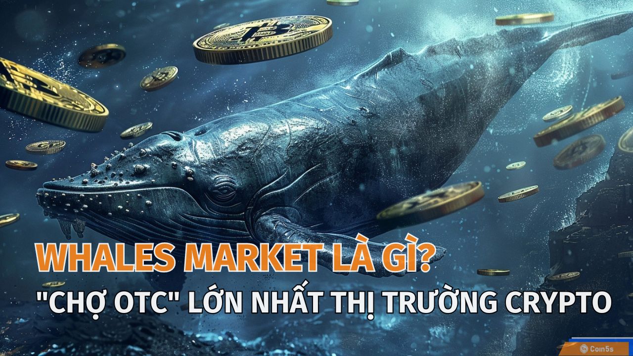 Whales Market là gì? Các sản phẩm của Whales Market