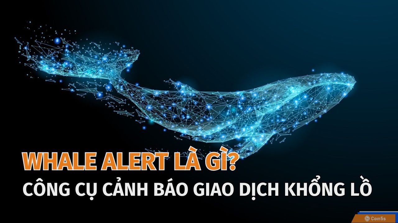 Khám Phá 'Whale Alert'