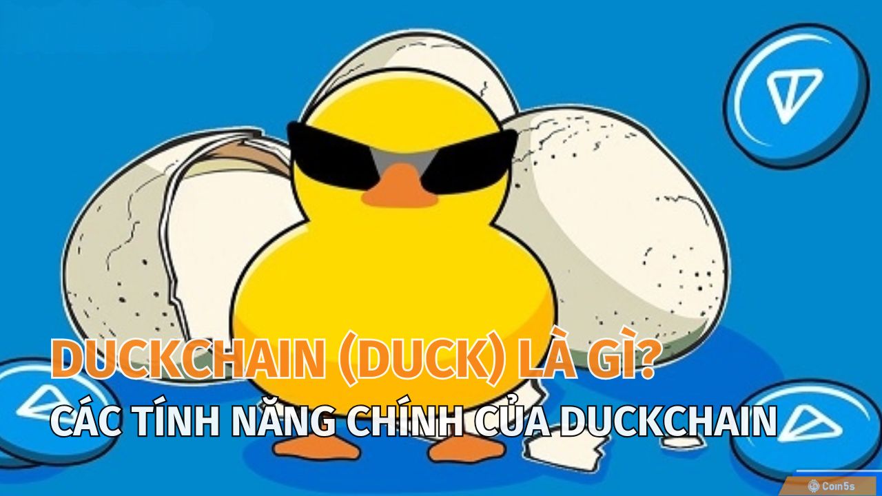  DuckChain (DUCK) là gì? Tìm Hiểu Về Tiền Số Mới Đầy Tiềm Năng