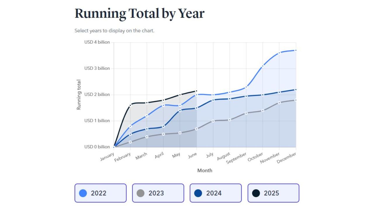 Các khoản lỗ trong nửa đầu năm 2025 đã vượt qua tổng mức lỗ của cả năm 2024 cộng lại