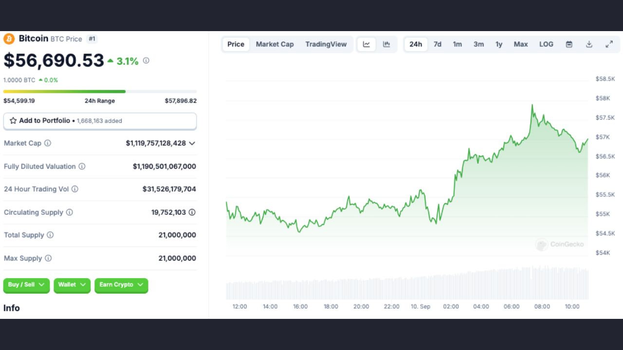 Bitcoin tăng 3,1% trong ngày cùng với sự tăng giá của cổ phiếu | Nguồn: CoinGecko