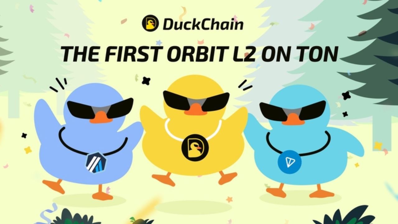  DuckChain (DUCK) 