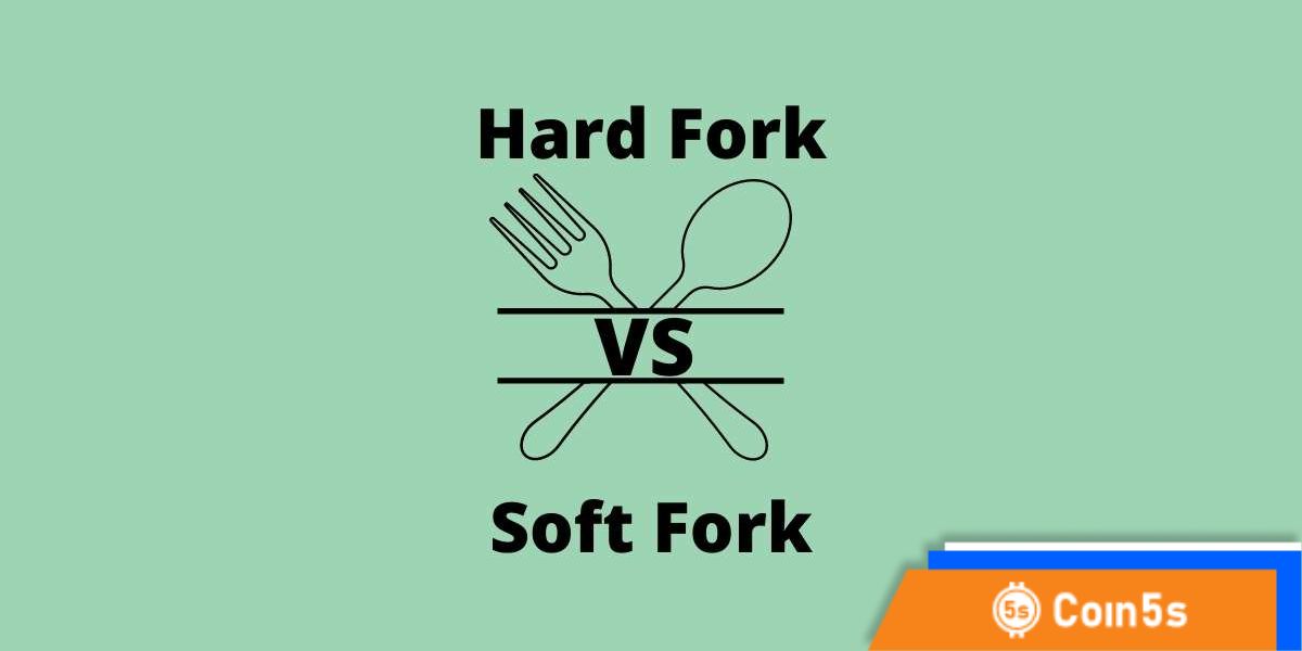 Hard fork và Soft fork (Nguồn: Shardeum)
