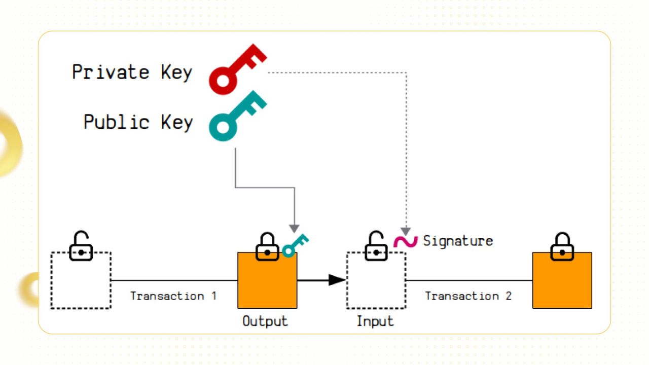 Mô hình hoạt động của Schnorr Signatures