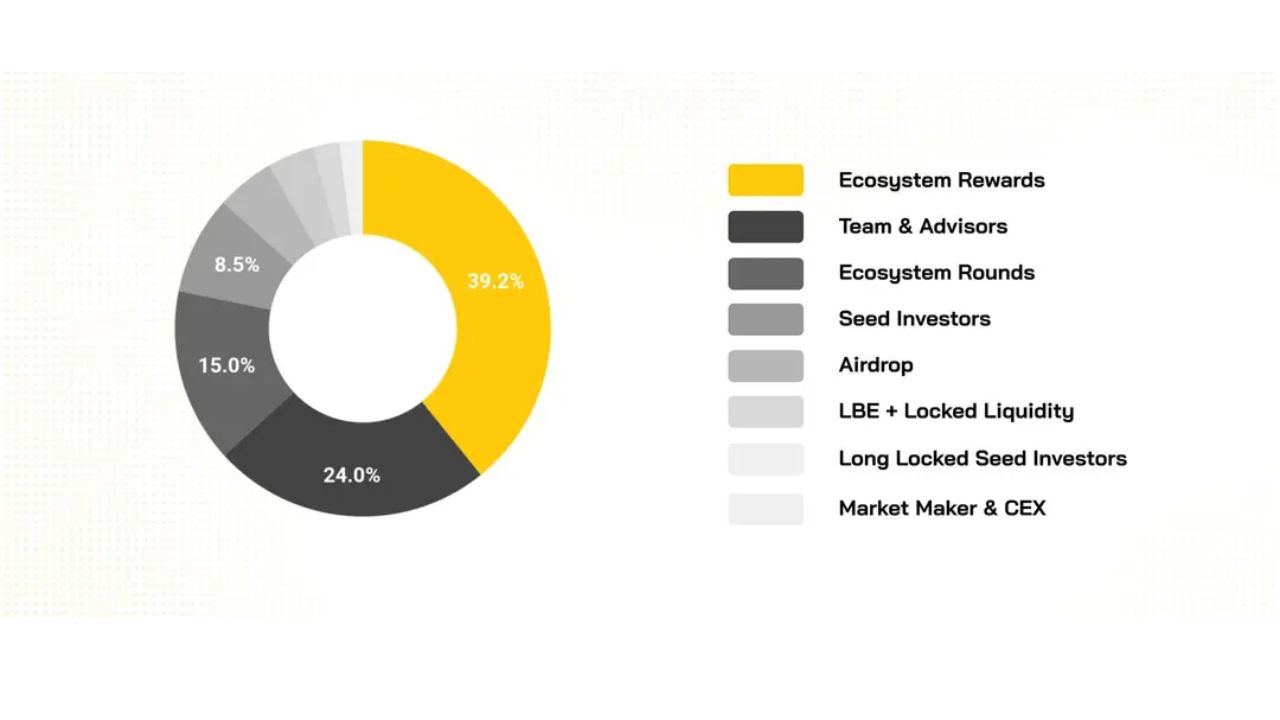 Phân bổ token