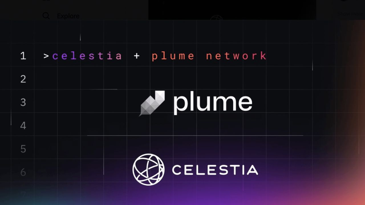  Plume Network